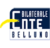 Ente Bilaterale BELLUNO - Contributo straordinario per danni da maltempo di fine ottobre 2018